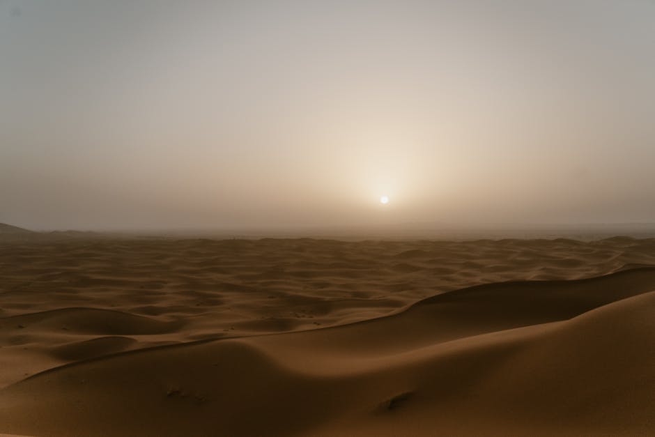Día 10 — Merzouga (Sáhara) · 3:00 h · 200 km — Cena grupal — Ed Duvico (pexels)