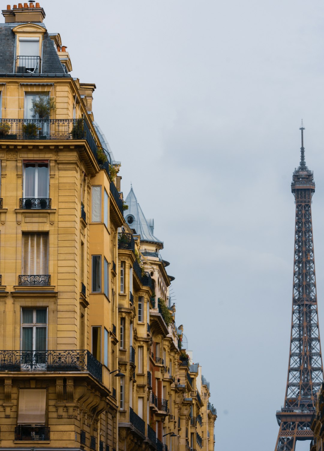 Día 12 — Rouen → París · 2:00 h · 140 km — Cena dos grupos / encuentro — Cecilia Miraldi (unsplash)
