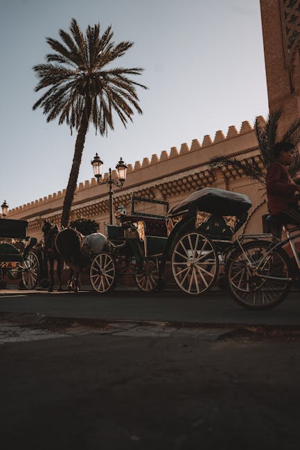 Día 6 — Marrakech — Día libre — Gonzalo Mendiola (pexels)