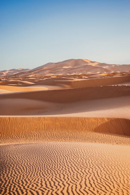 Día 11 — Merzouga — Día libre (dunas, actividades opcionales) — Cena grupal — Ed Duvico (pexels)