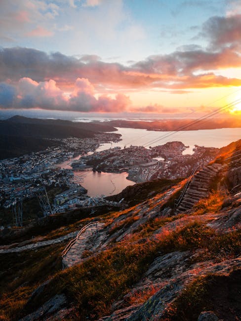 Día 18 — Bergen — Día libre — Ehsan Haque (pexels)