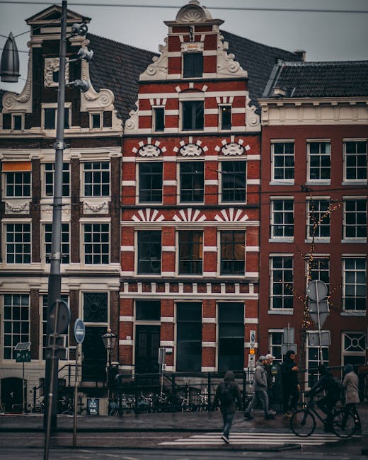 Día 8 — Ámsterdam — Día libre — Vinicius A. Nascimento (pexels)